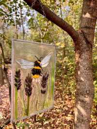 A Solo Glamping Getaway at Honeybee Hideaway