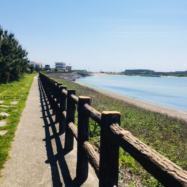 뚜벅이로 제주 동쪽 여행😁 화창한 날씨로 한층더 행복해지기💕