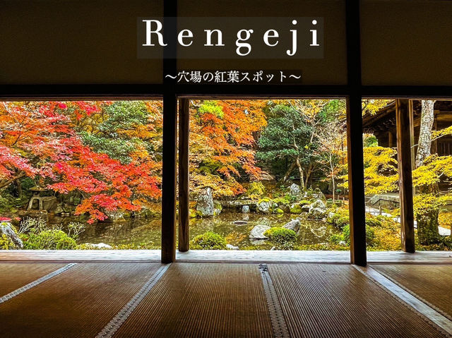 【京都】庭園のある絶景紅葉の穴場スポット