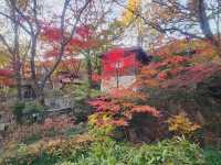 The magnificient autumn foliage at Gilsangsa