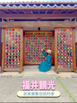 福井觀光武士宅邸舊田村家色彩繽紛的風車好漂亮