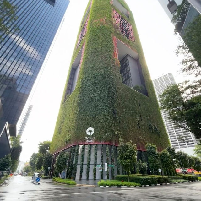Urban Oasis: My Serene Stay at Oasia Hotel Singapore, Tanjong Pagar