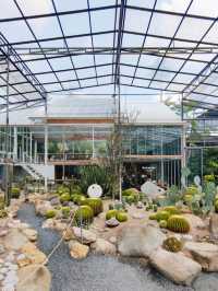 Botanist activity space and more คาเฟ่กระบองเพชร