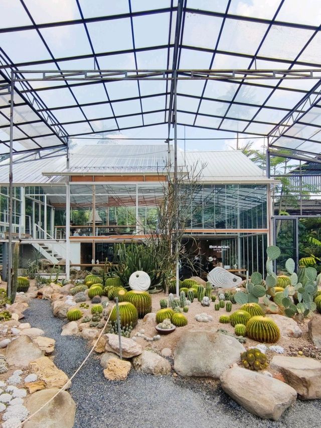 Botanist activity space and more คาเฟ่กระบองเพชร