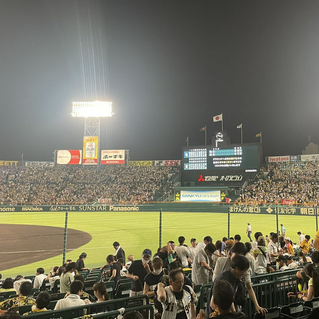 🇯🇵【兵庫県】甲子園球場(^^)高校野球！プロ野球！