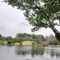 สวมกิโมโนเดินชมสวน Suizenji Jojuen
