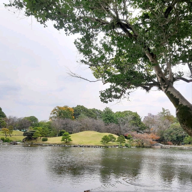 สวมกิโมโนเดินชมสวน Suizenji Jojuen
