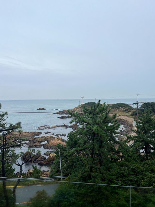 🪄◝₊부산 커피 디저트 오션뷰 예술 메르데쿠르ﻬ⡱ 