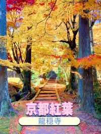 京都南丹の美しい紅葉🍁龍穏寺の秋🍁