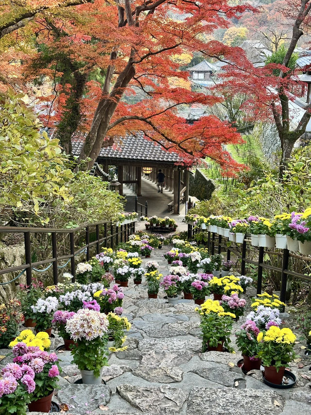 【奈良　長谷寺】