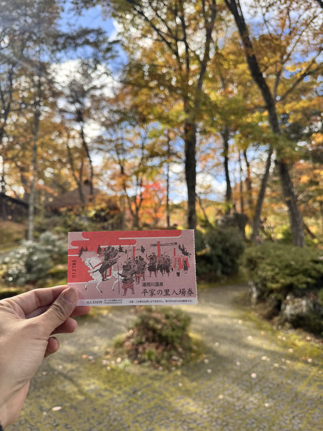 📍 【栃木】　平家の里の紅葉