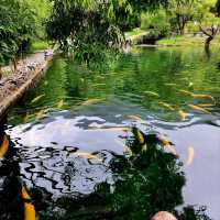 อุทยานน้ำหยก ชมรูปปั้นชนเผ่านาซี - ลี่เจียง