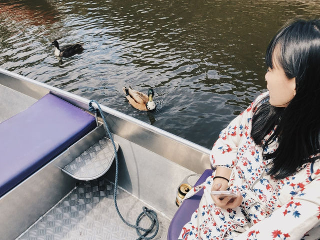Giethoorn / #Netherlands 荷蘭旅遊 划進童話裡 羊角村讓人一秒就愛上