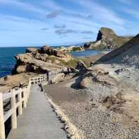 Wild Beauty Unveiled: A Captivating Visit to Castle Point