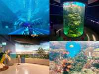 สำรวจโลกใต้ทะเลที่ Bangsaen Aquarium 🐠