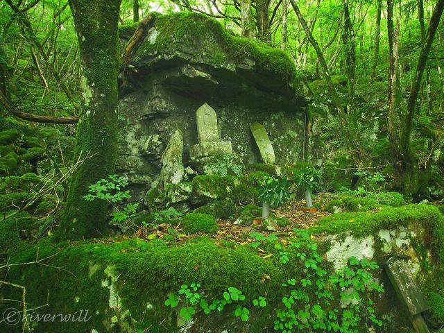 【徳島県】苔の名所でミニお遍路体験も！「山犬嶽」