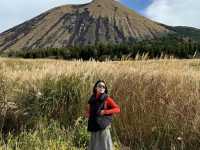 ขับรถเที่ยว Mt.Aso🚗