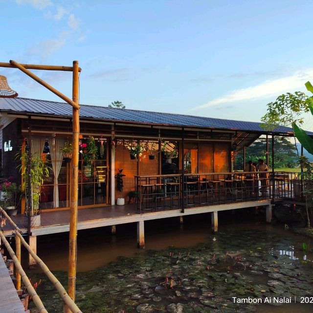 นาไลย วิว คาเฟ่&โฮมสเตย์ ที่พัก&คาเฟ่ วิวทุ่งนา