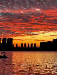 Swan Lake, Hefei: A Tranquil Urban Escape