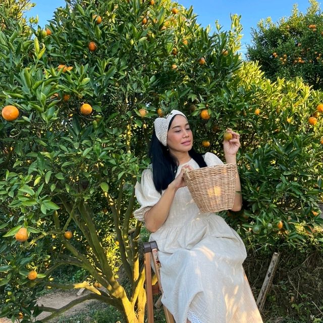 วิวดี ผลไม้หวาน ถ่ายรูปฟิน ที่จินจู 🍊🍊🍊