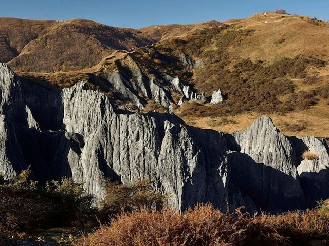 Flaring Rock Forest [Moshi Park in Autumn]