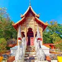 ประตูสู่ลำพูน  วัดประตูป่า