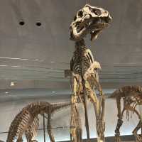 【福井旅行】恐竜博物館🦕