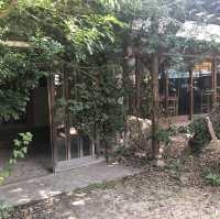 福岡の野菜を楽しめるお店