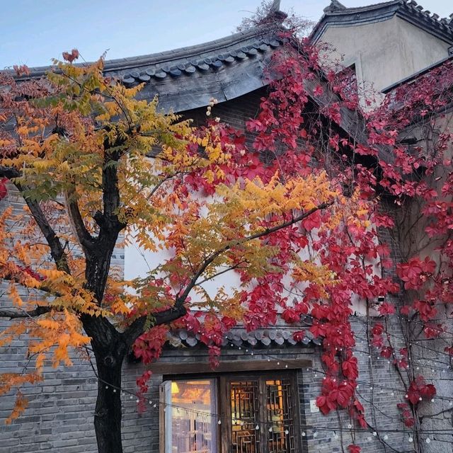 ฤดูที่สวยที่สุดของปักกิ่ง🍂