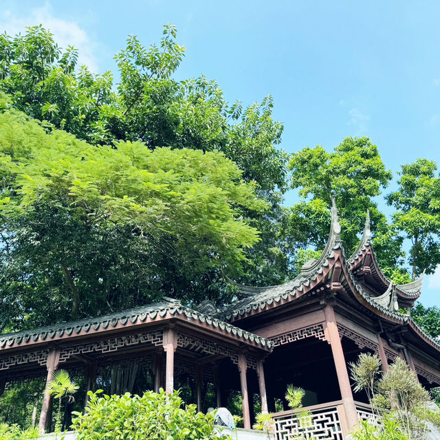 九龍寨城公園：歷史與自然的美好之旅 🌸🏞️ 