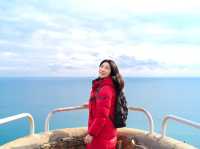 겨울에도 이쁜 거제도 외도보타니아 여행🌷