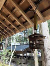 【長野】全国2.5万社以上ある諏訪神社の総本社でパワーチャージ!!