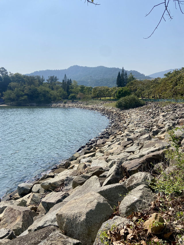 🧘🏻🛀讓人有種說不出寫意「元洲仔公園」🏞️🌸