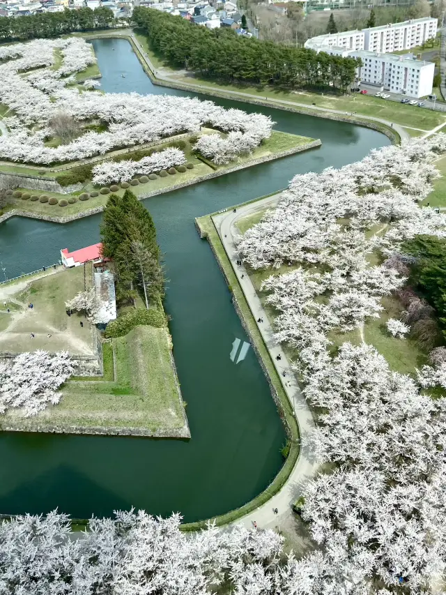 Goryokaku Park: A Star-Shaped Haven