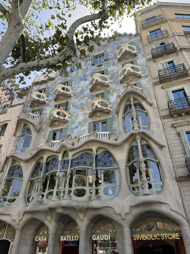🇪🇸바르셀로나만 3번째인 여행자가 추천하는 바르셀로나 여행🇪🇸 