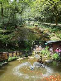 Zhangjiajie National Forest Park 