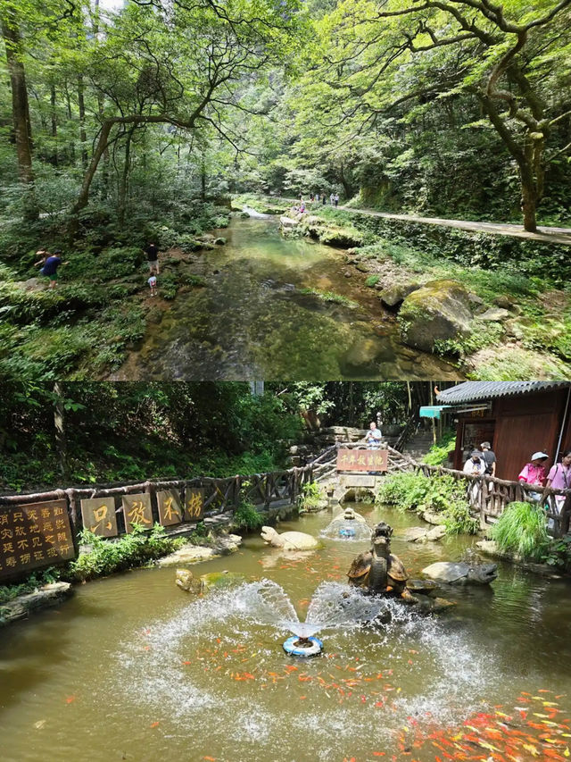 Zhangjiajie National Forest Park 