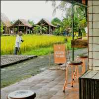Serene Moments at Boodaya Coffee