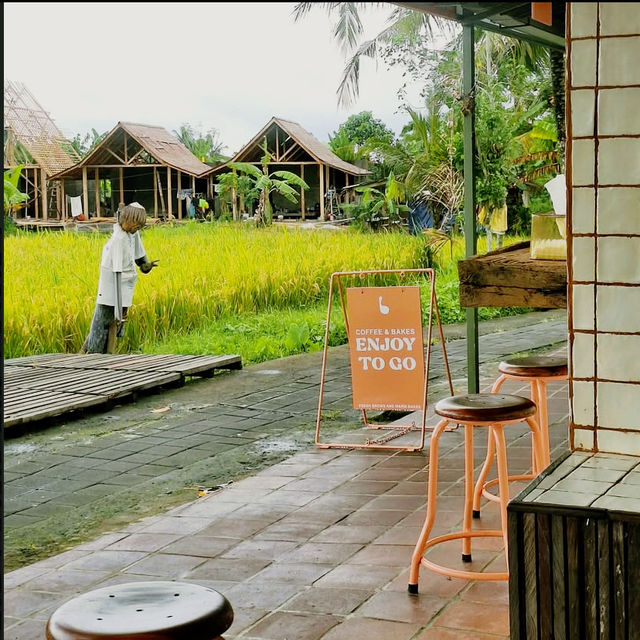 Serene Moments at Boodaya Coffee