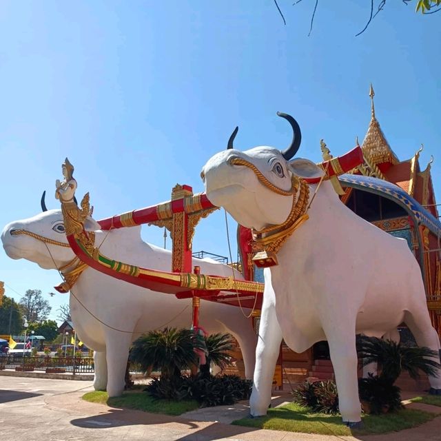 พาเที่ยววัดดังที่ศรีสะเกษ วัดพระธาตุเรืองรอง