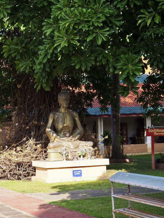 酉年生まれの方必見のお寺🇹🇭