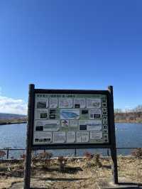 【佐久市🇯🇵】貯水池に集まる鳥が見える公園🕊️