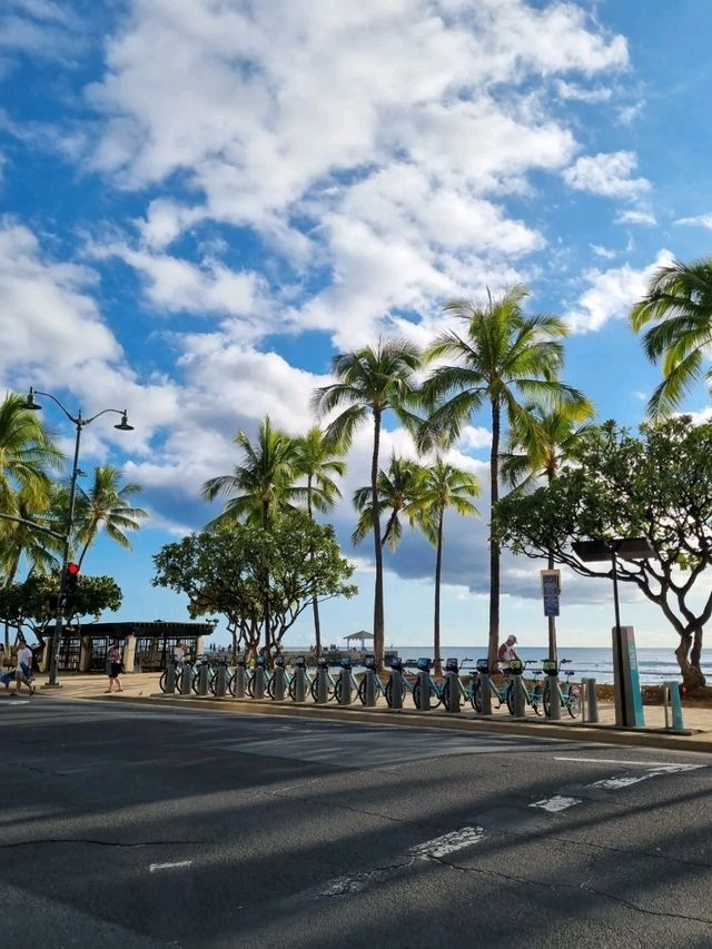 대표적인 여행지 하와이🌴
