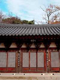 韓國大邱_秋意必訪 桐華寺Donghwasa Temple