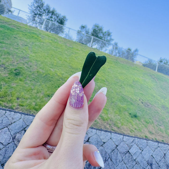 【小豆島】幸せのオリーブの葉をみつける🫒