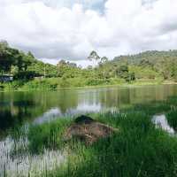 Breathtaking Serenity at Patenggang Lake