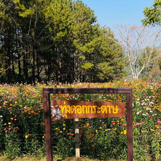 อุทยานแห่งชาติภูหินร่องกล้า