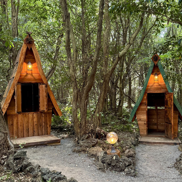🏕️포토존 가득 제주 서쪽 가볼만한곳 추천 “산양큰엉곶”