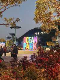 充滿樂趣的香港海洋公園🩵