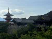 A Journey Through Time: A Perfect Kyoto Day Trip